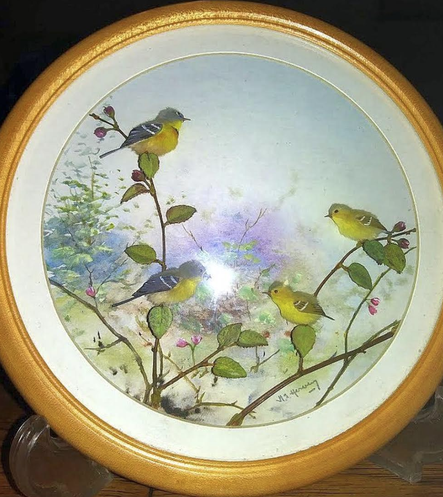 Parula Warblers (7-inch)